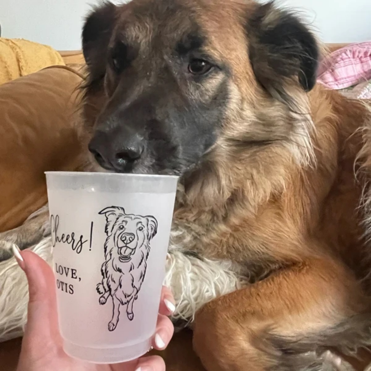 10/50 Vasos Personalizados par - Plastic Cup 50Pcs reseña y precio